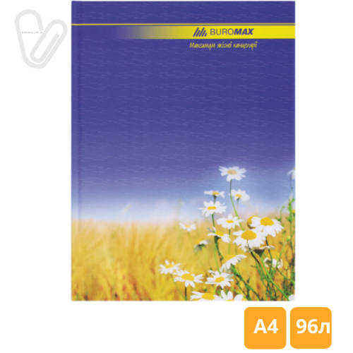 Книга учета 96л линия А4 ламин. обл. офсет CLASSIC Buromax - Фото 2