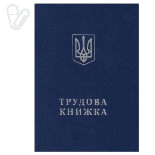 Трудовая книга - Фото 1